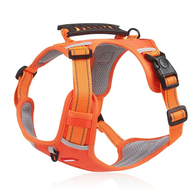 Guardian Dog Harness