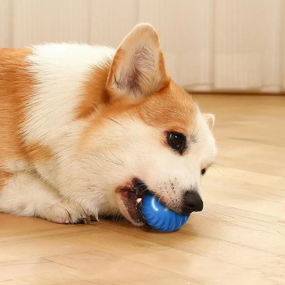 Active Rolling Ball Automatic Moving Ball