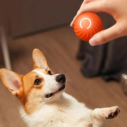 Active Rolling Ball Automatic Moving Ball